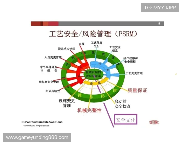 云顶网站网址安全可靠，确保玩家账号信息安全无忧